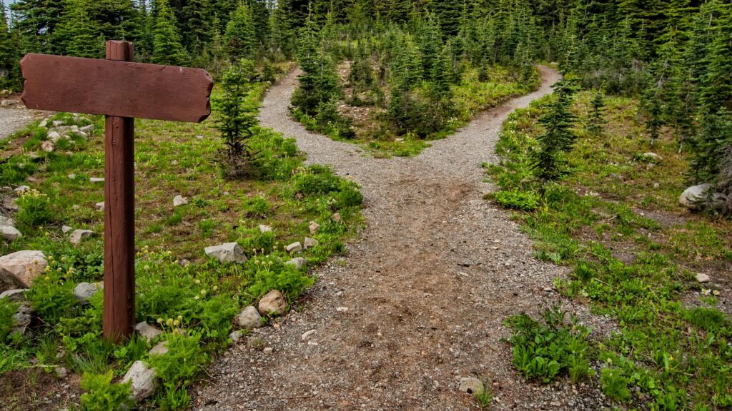 Praktisch Explore a forked trail in Manning Park, BC amidst lush greenery and conifer trees. Perfect for nature walks.