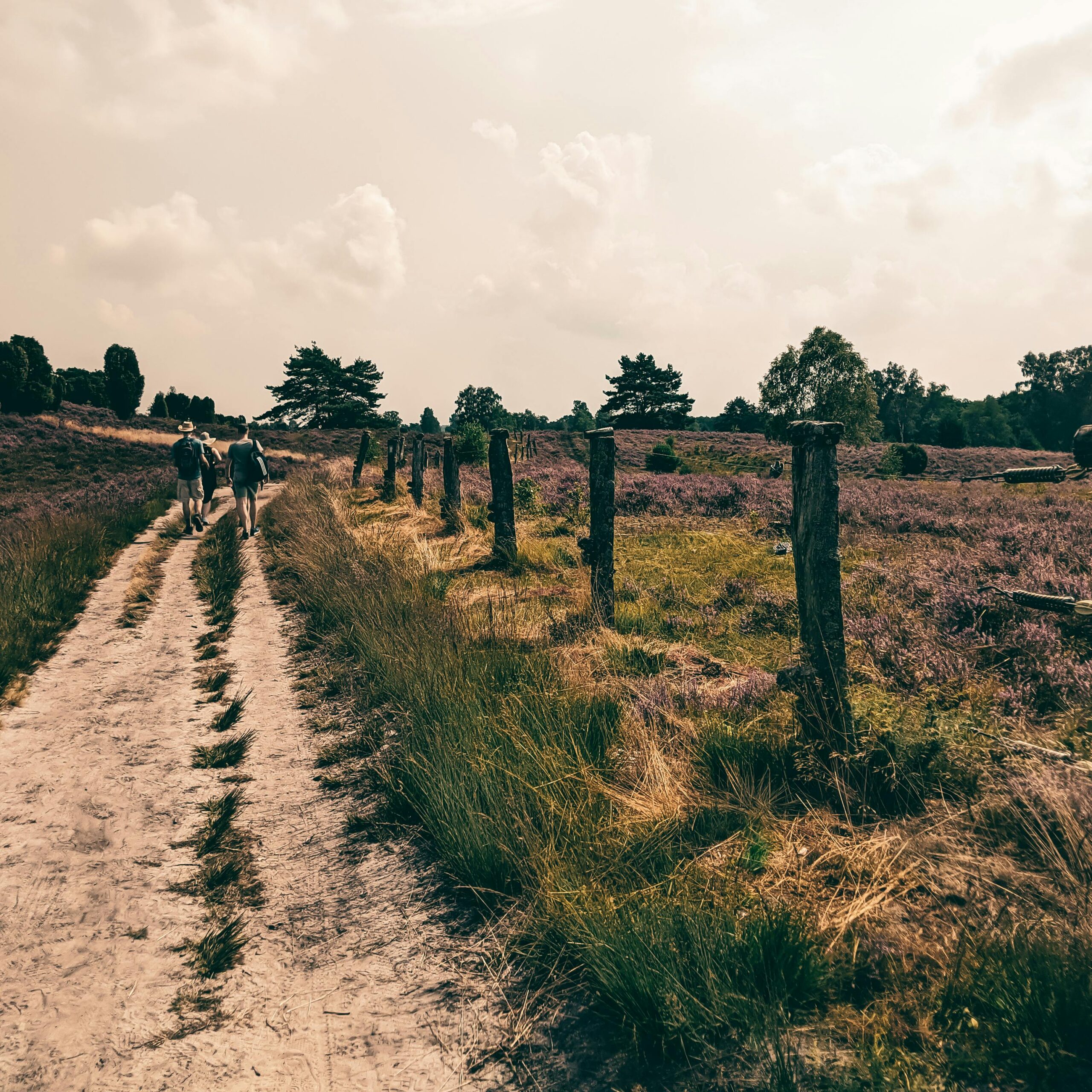 Voor wie? Hikers on a rustic trail through a scenic natural landscape in Germany, featuring vibrant fields and distant trees.